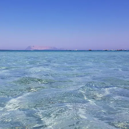 Romeo By Interhome * 부도니