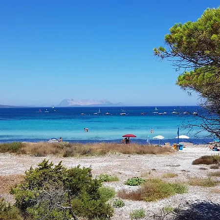 Romeo By Interhome 펜션 부도니